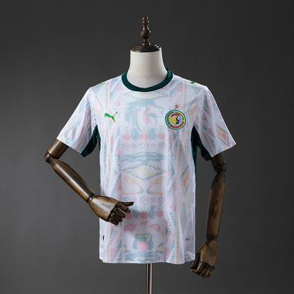 Senegal 2026 Home Fan